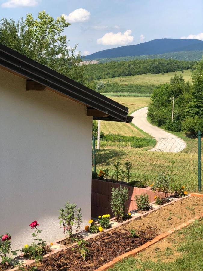 Studio Apartman Firdaus-Bihac, Dobrenica Bb Exterior photo