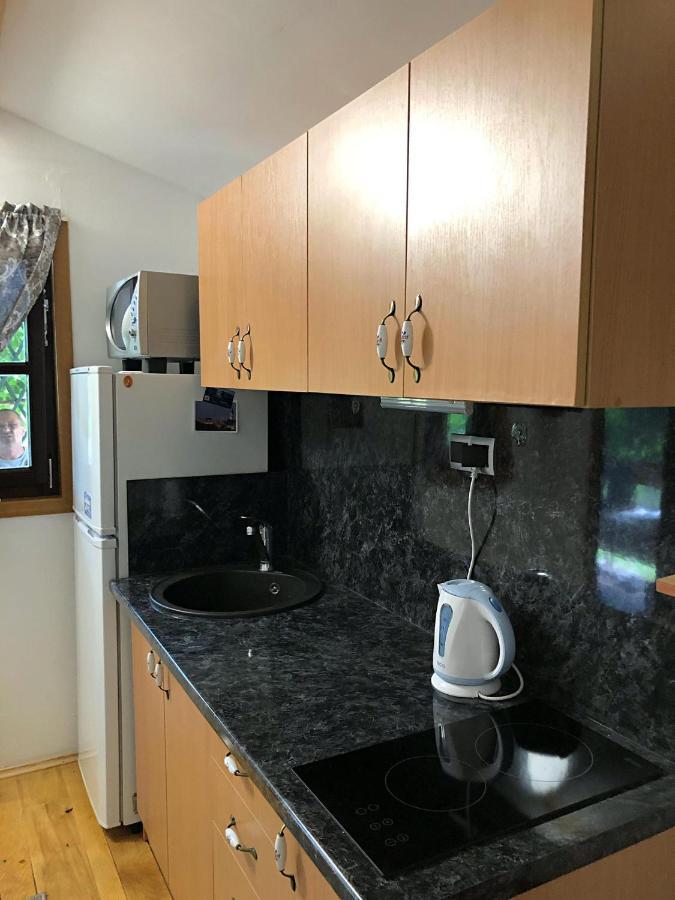 Studio Apartman Firdaus-Bihac, Dobrenica Bb Exterior photo