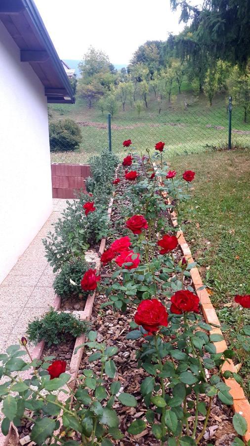 Studio Apartman Firdaus-Bihac, Dobrenica Bb Exterior photo