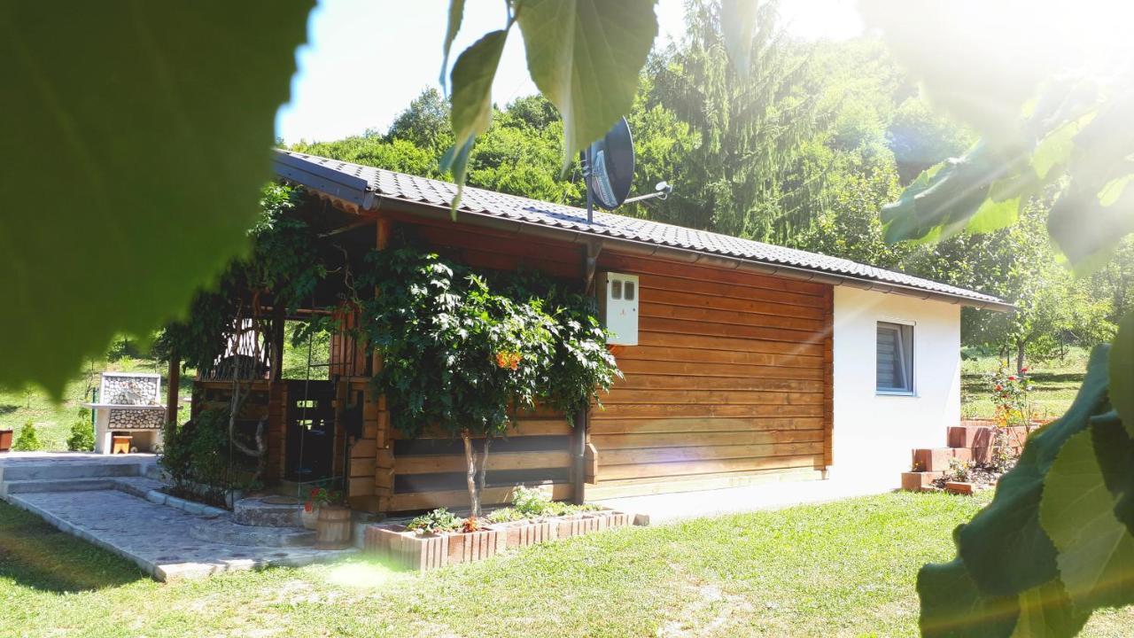 Studio Apartman Firdaus-Bihac, Dobrenica Bb Exterior photo